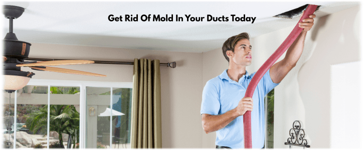 Air Duct Mold Removal in Denton TX