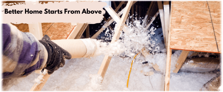 Attic Cleaning Denton TX