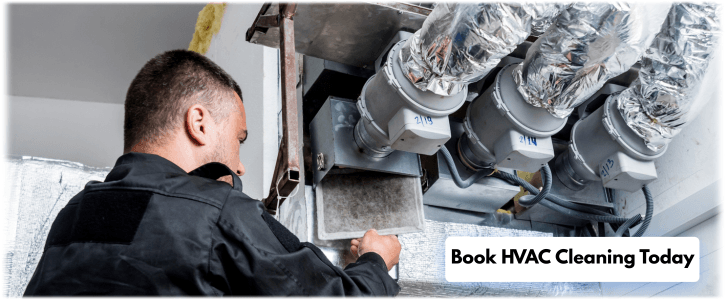HVAC Mold Removal Denton TX